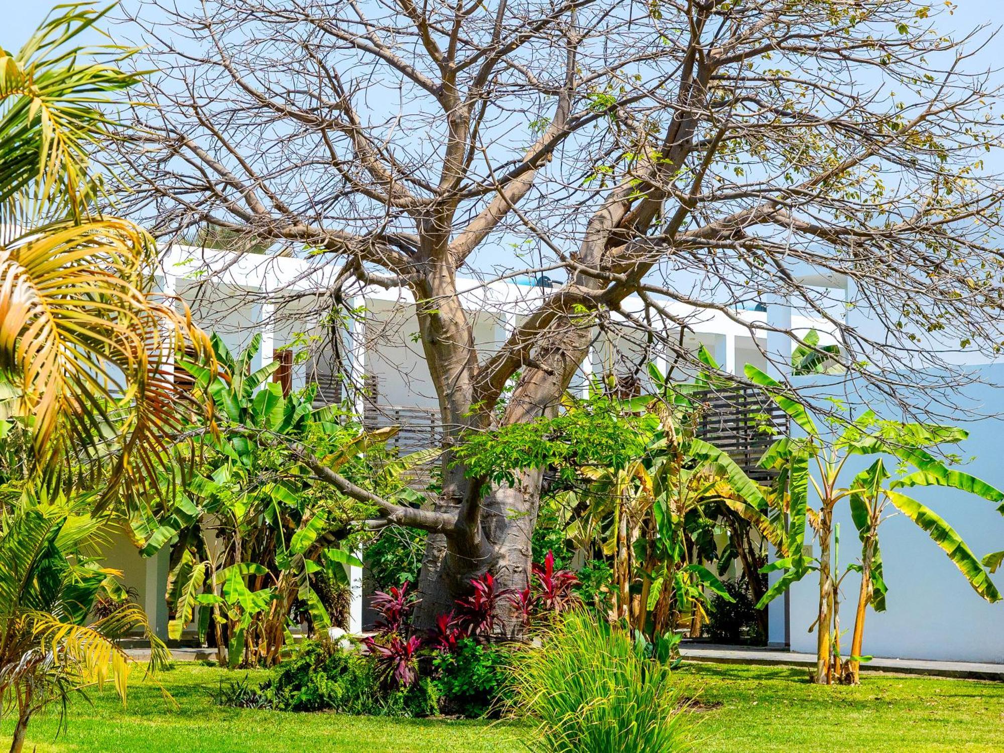 קוטו Tamala Beach Resort (Adults Only) מראה חיצוני תמונה